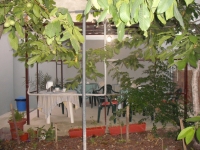 Гостевой дом на улице Победы в Феодосии фото гостевой дом