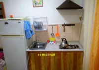 Частный сектор «У Сергея Васильевича» - номер 1-Комнатный с кухней фото 8