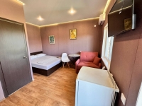 Частный дом «Розовая пантера» - номер 3Х местный Комфорт