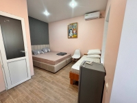 Частный дом «Розовая пантера» - номер 3Х местный Комфорт+