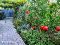 Дом под ключ ул. Бирюзова, 21 фото 19