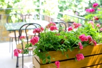 Судак, ул. Генерала Бирюзова, 19