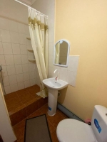 Гостевой дом «Lion» - номер «Стандарт» 2-х местный фото 2