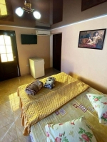 Гостевой дом «Lion» - номер «Стандарт» 2-х местный фото 8