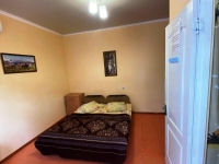 Гостевой дом «Lion» - номер «Стандарт» 2-х местный фото 9