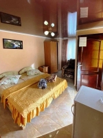 Гостевой дом «Lion» - номер «Стандарт» 2-х местный фото 12