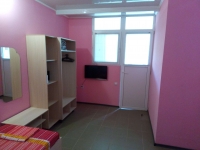 Гостевой дом «Донбас» - номер 2-3-Х местный с кухней фото 2