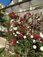 Гостевой дом «Терем*ок»