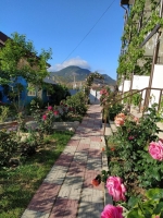 Коктебель Гостевой дом «Терем*ок» фото