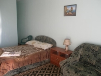 Гостевой дом «Терем*ок» - номер Стандарт фото 3