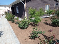 База отдыха «Лукоморье» фото 19