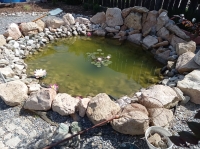 База отдыха «Лукоморье» фото 21