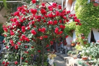 Вилла «Гармония» фото 31