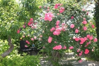 Вилла «Гармония» фото 33