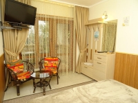 Вилла «Гармония» - номер «Стандарт» 1-комнатный фото 3