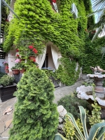 Вилла «Гармония» - номер 2-Х комнатный с кухней фото