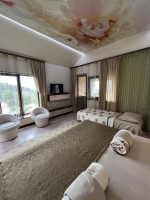 Вилла «Гармония» - номер «Люкс» 1-комнатный фото 2