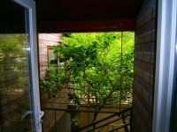 Гостевой дом «Усадьба» - номер Однокомнатный №5 фото 3