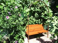 Алушта Гостевой дом «Ангара» отзывы 