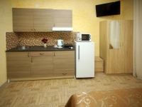 Гостевой дом «Светлана» - номер 1-Комнатный с мини-кухней фото 3