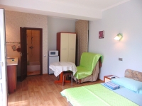 Апартаменты «Snug House» - номер Студия «Лайм» фото 4