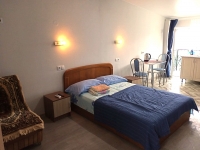 Апартаменты «Snug House» - номер Студия «Ирис» фото 3