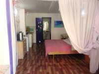 Апартаменты «Snug House» - номер Студия «Флокс» – экономный комфорт для активных фото 3