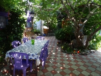 Частный сектор «Царство зелёной прохлады» фото гостевой дом